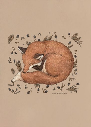 Sleeping Fox por Jessica Roux